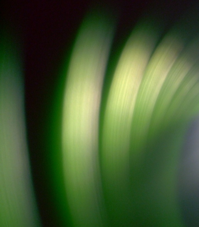 test_image