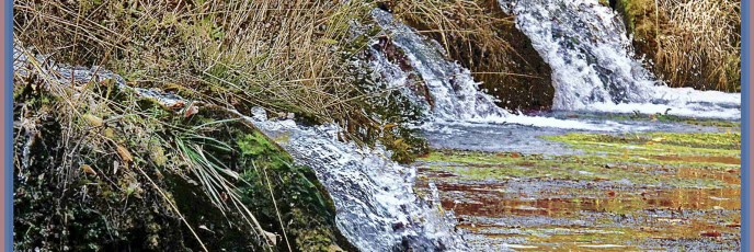 cascade springs
